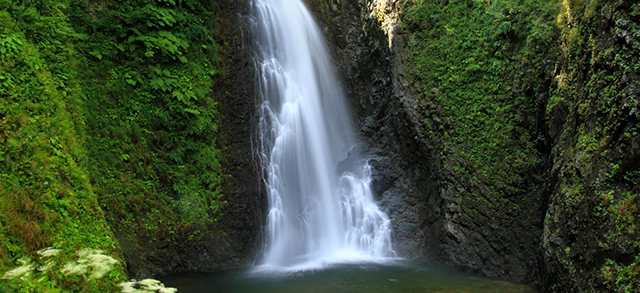 白神山水