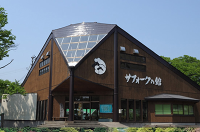 白神山水